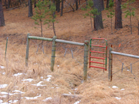 Following a fence will lead you out