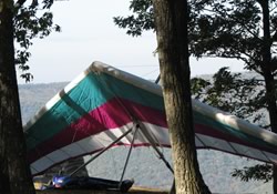 Set up your camp next to a base of a tree Set up your camp next to a base of a tree