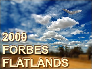 2009 Forbes Flatlands