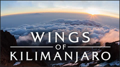 Wings of Kilimanjaro