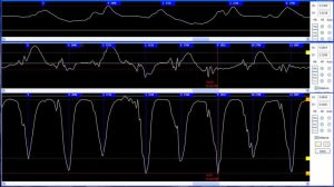 The Science of Aerobatic Paragliding