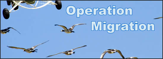 Operation Migration