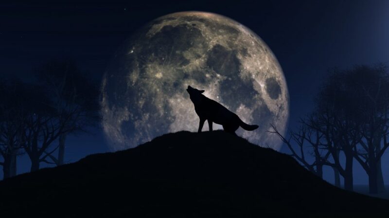 January Wolf Moon